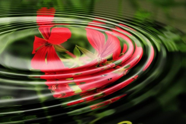 photo credit graphic stock